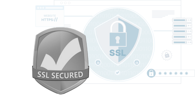 SSL Certificate for Your Domain